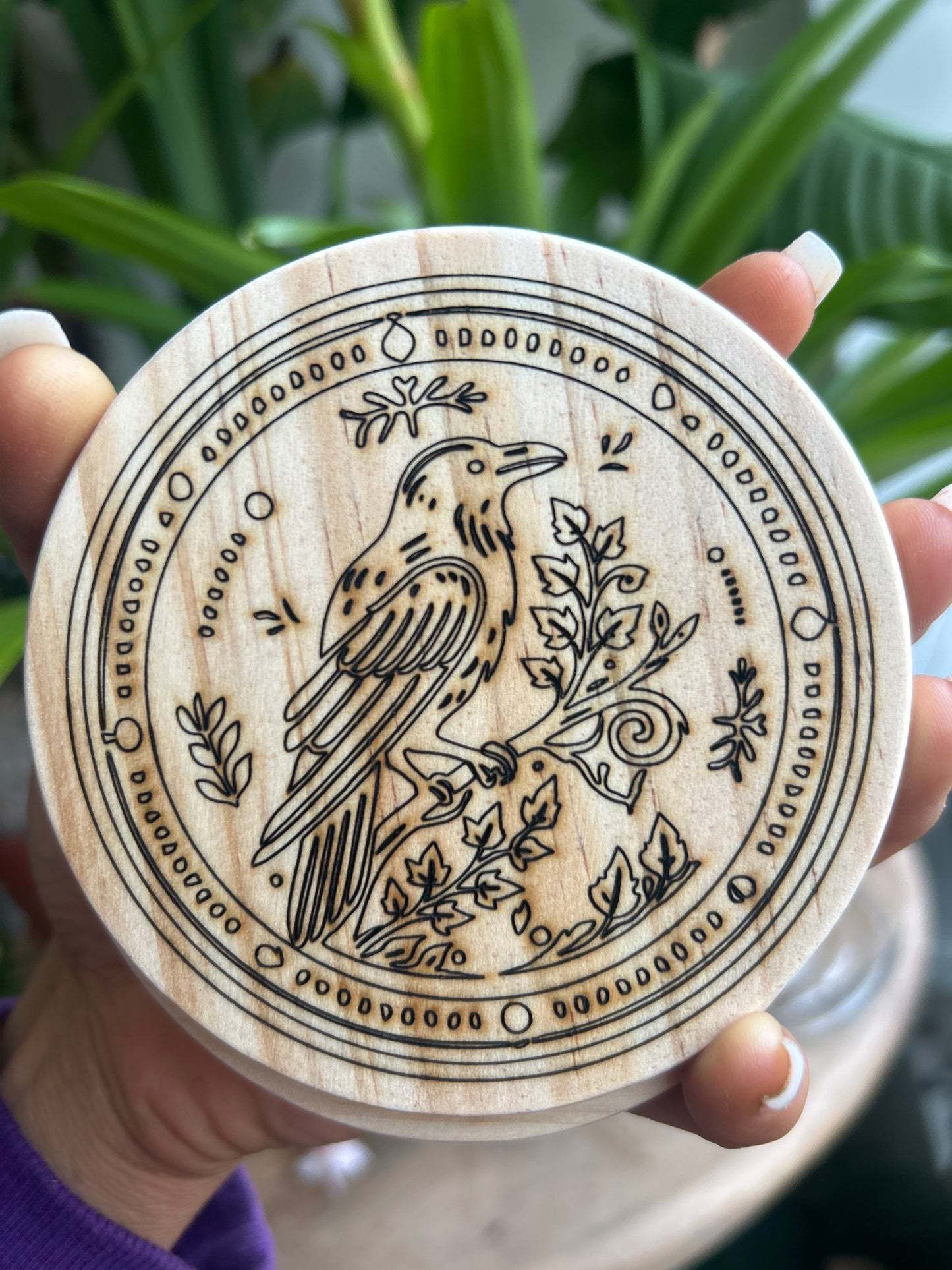 Crow Coaster