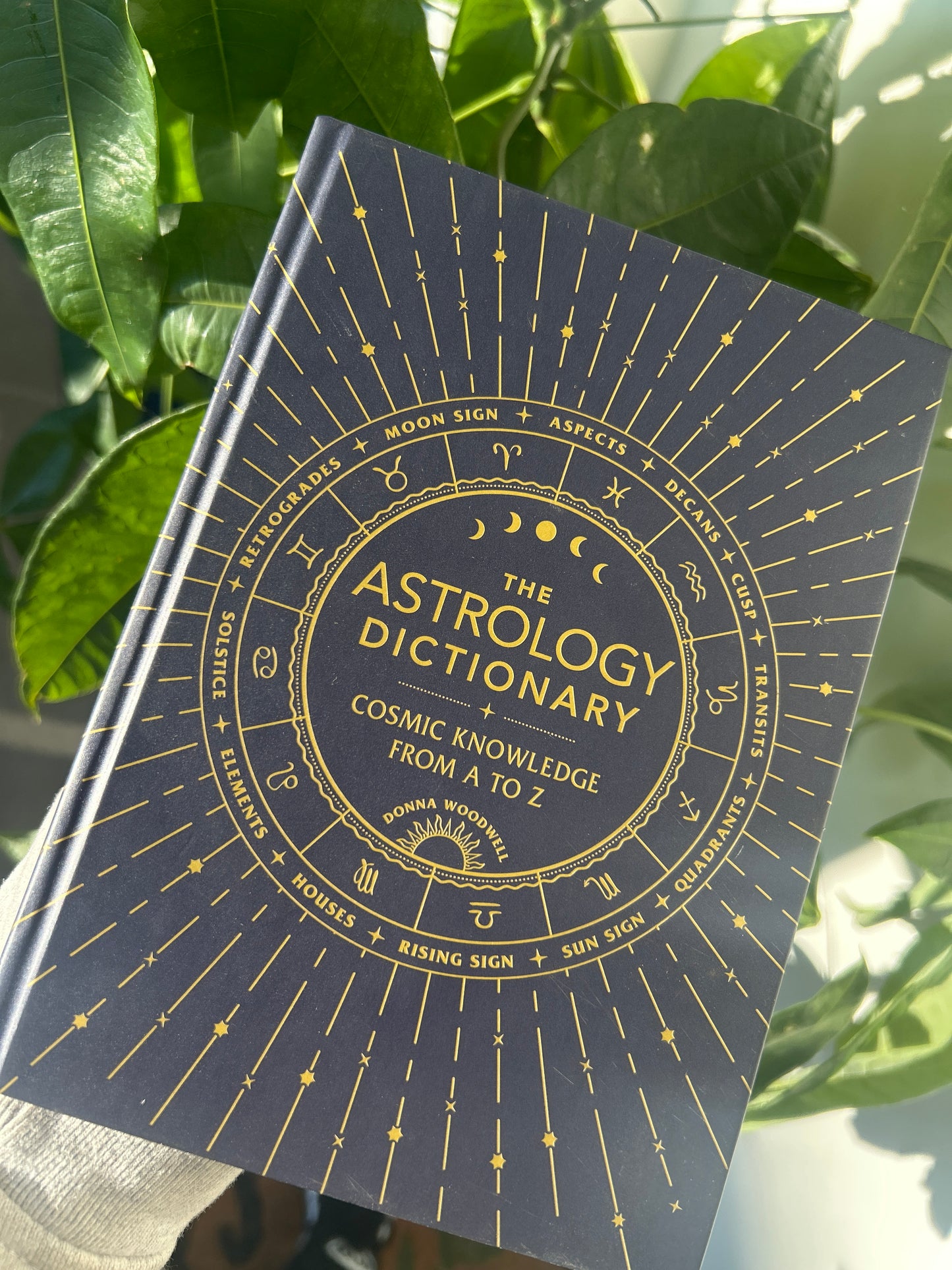The Astrology Dictionary: Cosmic Knowledge from A to Z — Donna Woodwell
