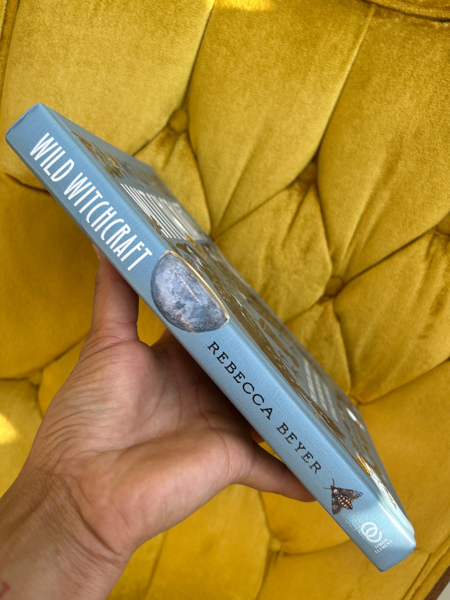 Wild Witchcraft by Rebecca Beyer
