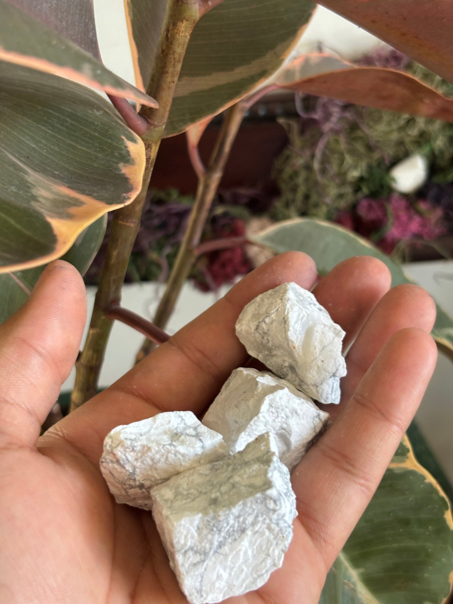Raw Howlite Crystals – 1.5” to 2”