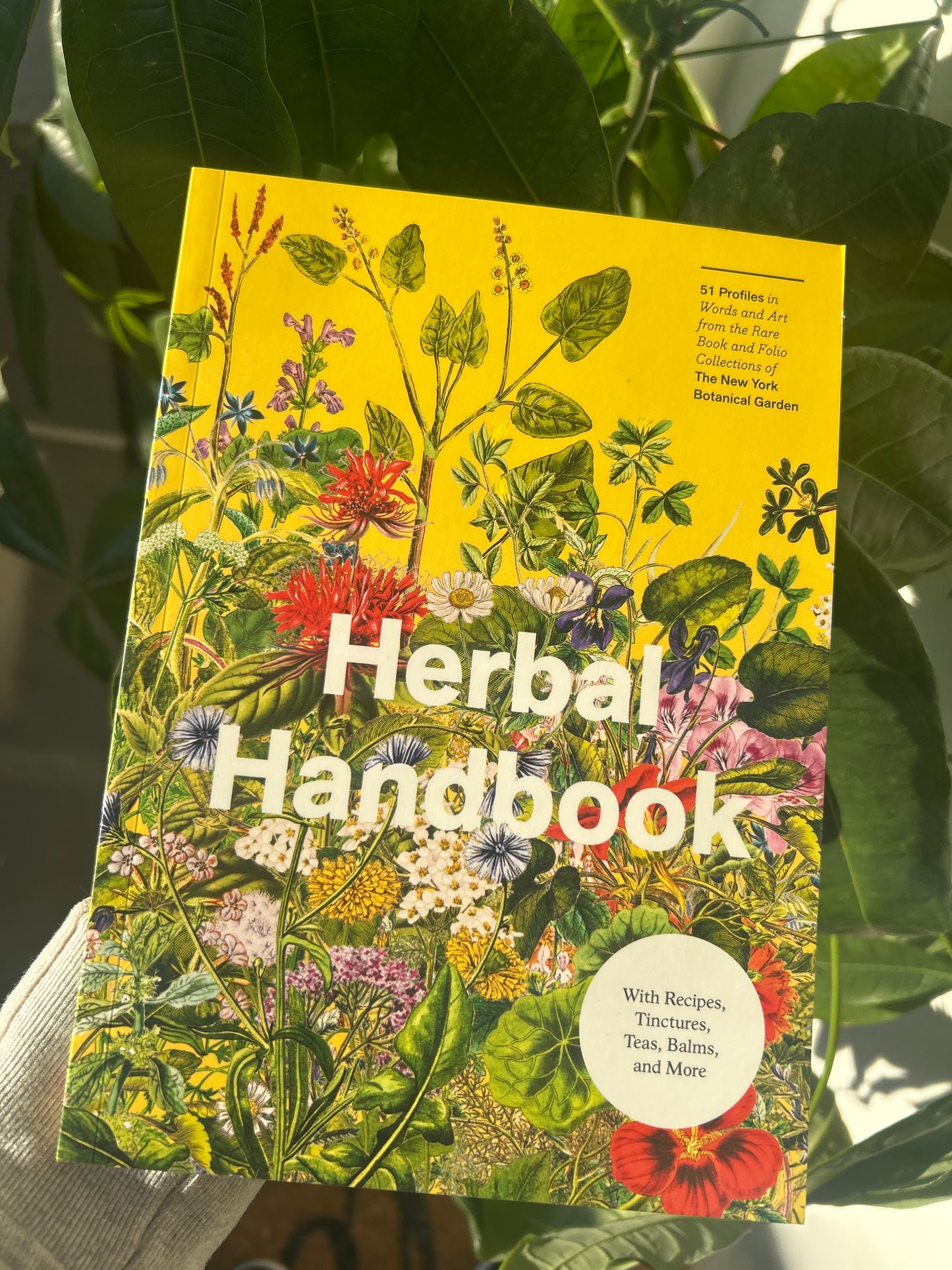 The Herbal Handbook — Clarkson Potter Publishers