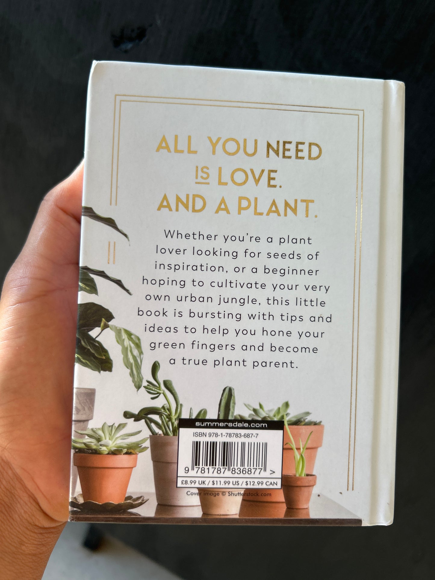 The Little Book for Plant Parents by Felicity Hart
