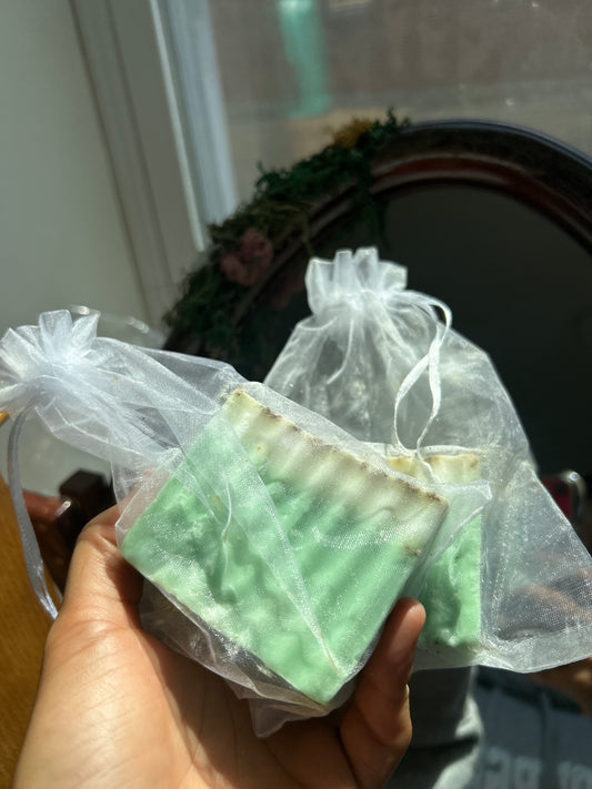 Forest Milk Soap Bar