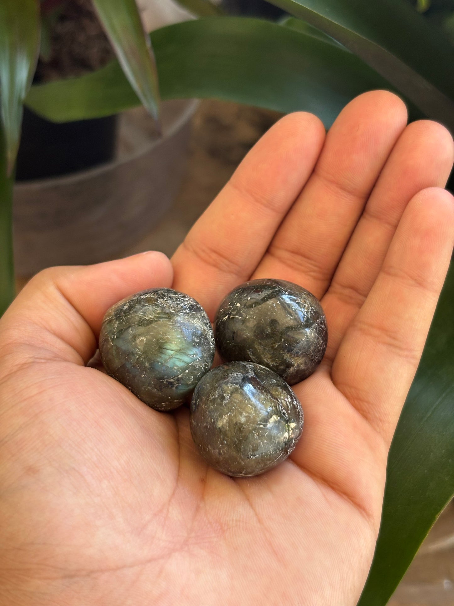 Labradorite Tumbles – 1”